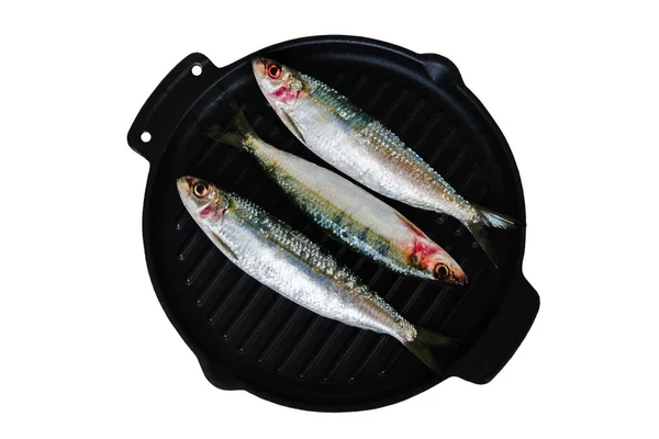 Verse sardines op de gietijzeren koekenpan. — Stockfoto