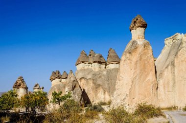 Kapadokya. Peri Bacası. Multihead taş mantar keşişler Vadisi. Pasabag Vadisi