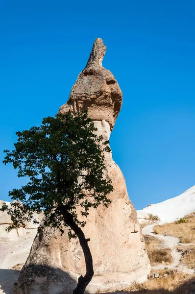 Capadocia, Turquía. Chimenea de hadas. Champiñones de piedra multicabeza en el Valle de los Monjes. Valle del Pasabag — Foto de Stock