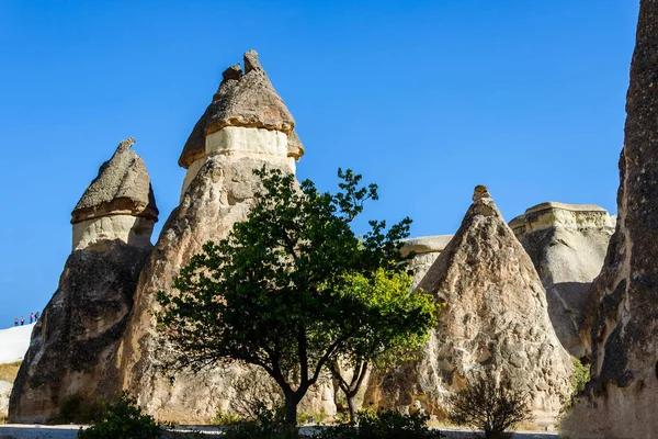 Kapadocja, Turcja. Fairy Chimney. Wielogłowicowy grzyby kamienne w dolinie mnichów. Dolina Pasabag — Zdjęcie stockowe