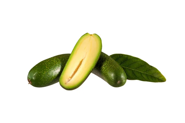 Fresh seedless cocktail avocado isolated on white background. Cucumber avocado. Marks and Spencer new genetic gift for avocado fans. — Stock Photo, Image