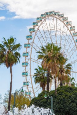 Giant Ferris Wheel Malaga