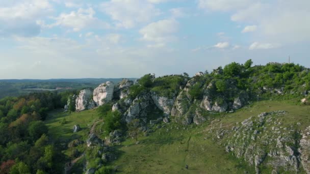 Rocky Hill cubierto con bosque - Drone — Vídeo de stock