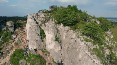 Rocky Hill Ormanla Kaplandı - Havadan
