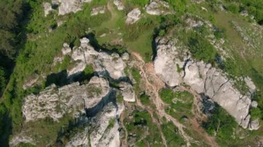 Rocky Hill Ormanla Kaplandı - Havadan