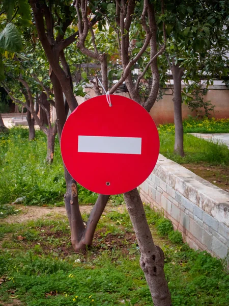 No-entry sign hanging in a tree
