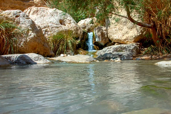 milli park ein gedi