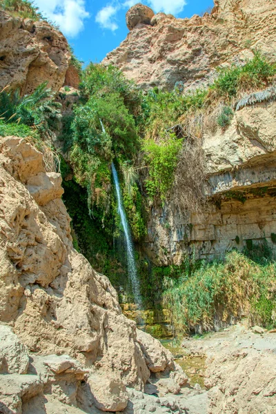 milli park ein gedi