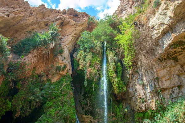 milli park ein gedi