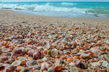 Yazlık Akdeniz sahil