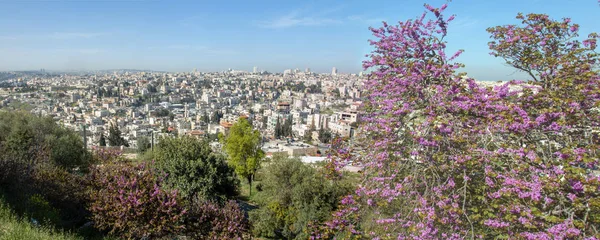 Jérusalem, Israël, vue sur la ville — Photo
