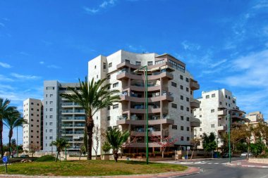 Palmiye ağaçları Ashkelon yazlık sahil şeridine