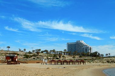 Palmiye ağaçları Ashkelon yazlık sahil şeridine