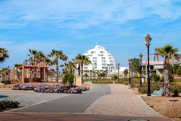 Ashkelon somrig kustlinje med palmer — Stockfoto