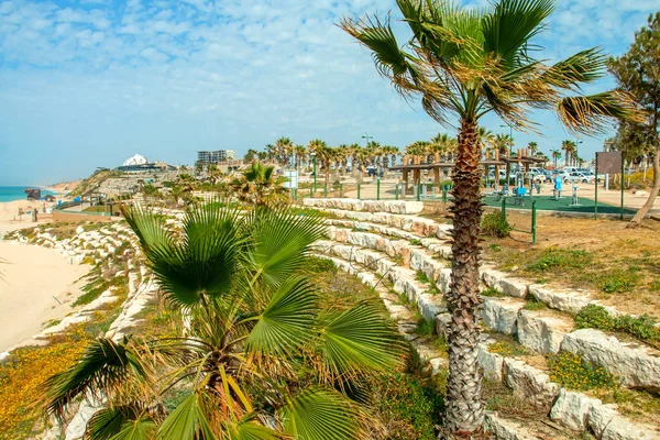 Ashkelon somrig kustlinje med palmer — Stockfoto