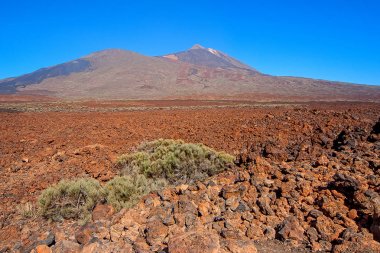 El Taide volkanik eteklerinde