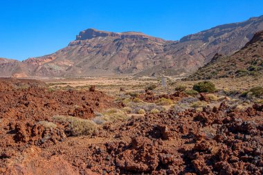El Taide volkanik eteklerinde