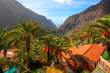 Masca köyü. Kanarya Adaları. Tenerife. İspanya