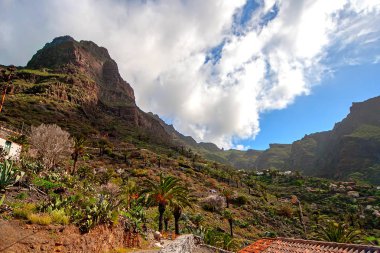 Masca köyü. Kanarya Adaları. Tenerife. İspanya