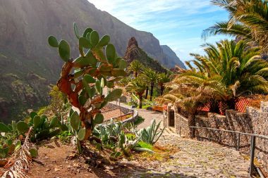 Masca köyü. Kanarya Adaları. Tenerife. İspanya
