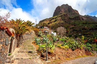 Masca köyü. Kanarya Adaları. Tenerife. İspanya