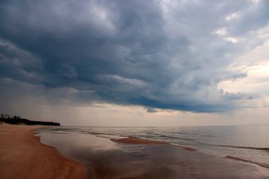 Baltık Denizi kıyısında. Bernati
