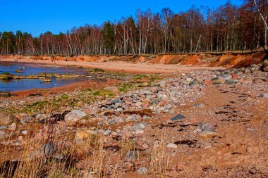 Baltık Denizi kıyısında. Kurmrags