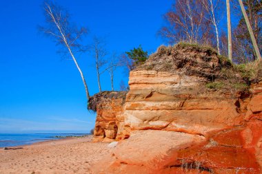 Baltık Denizi kıyısında. Kurmrags