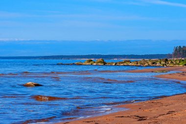Baltık Denizi kıyısında. Kurmrags