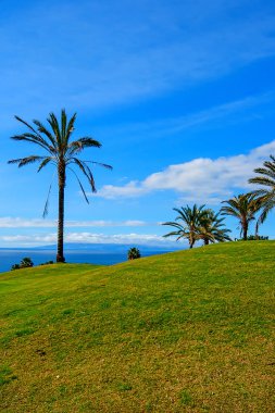 Tenerife, Kanarya Adaları, İspanya