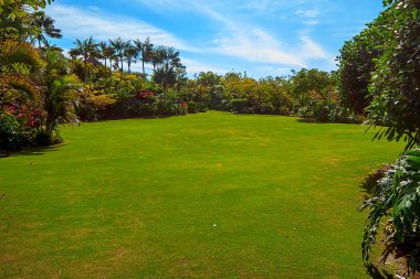 Tenerife, Kanarya Adaları, İspanya
