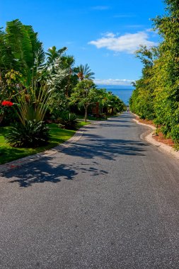 Tenerife, Kanarya Adaları, İspanya