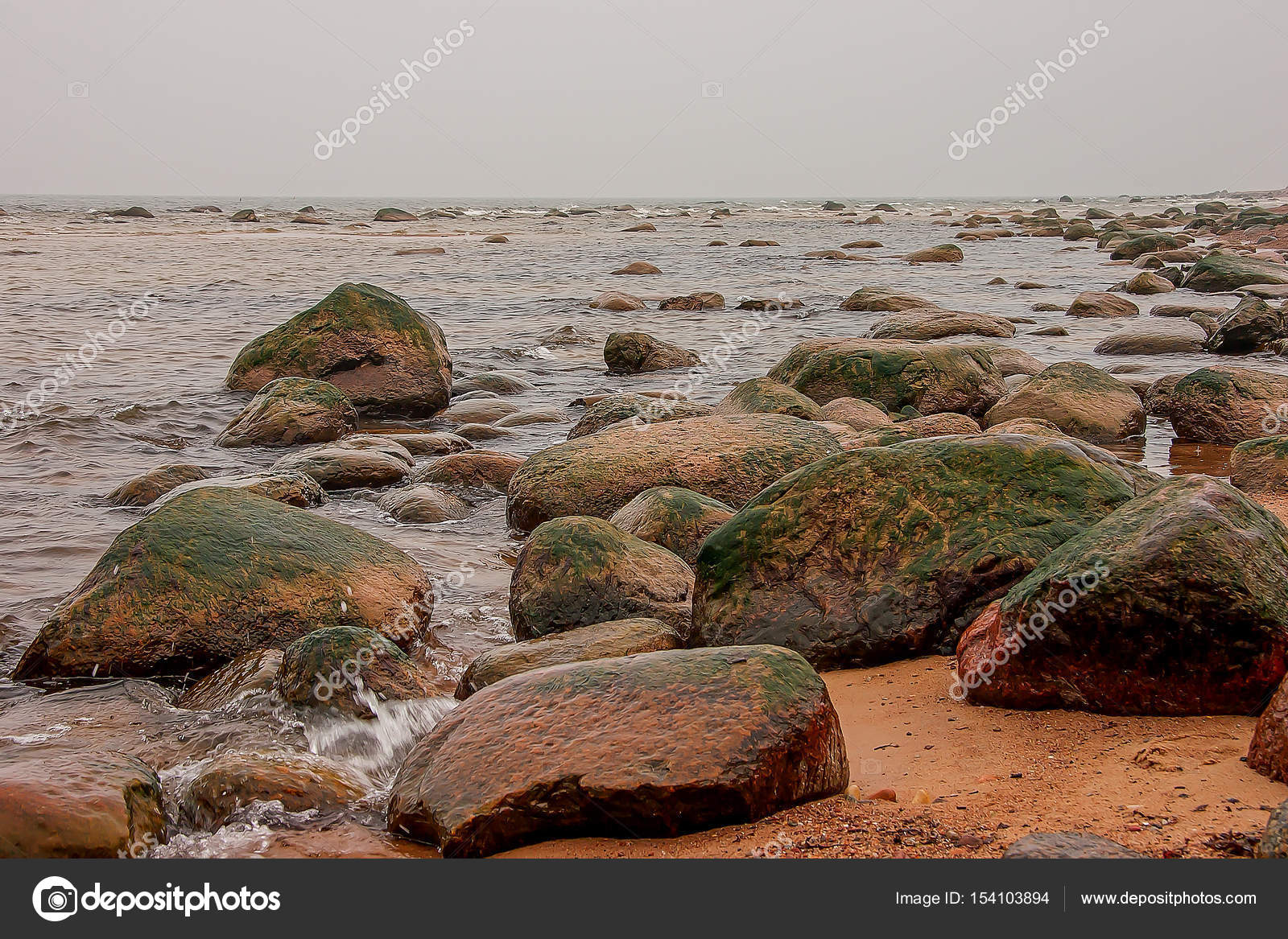 Фото Берега Балтийского Моря