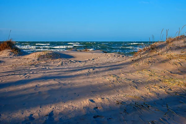 Ostseeküste. Bernati — Stockfoto