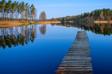 göle orman yansıma