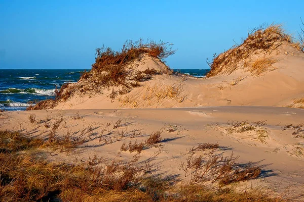 Baltık Denizi kıyısında. Bernati