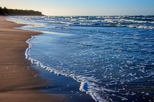 Baltık Denizi kıyısında. Bernati