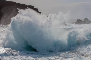 Tenerife kayalık sahil