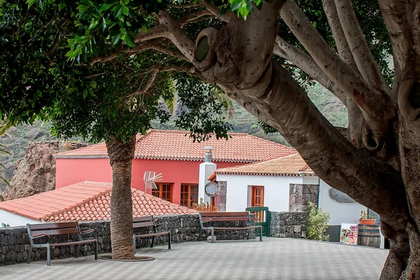 Masca köyü. Kanarya Adaları. Tenerife. İspanya