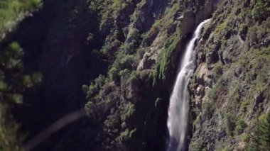 Şelale orman, Şili