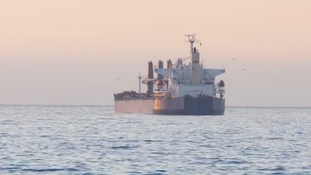 Buque de carga en el mar — Vídeo de stock