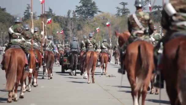 Bereden soldaten in een parade. — Stockvideo