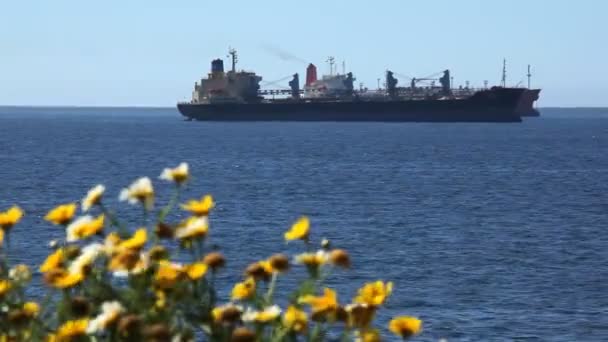 Грузовое судно на море — стоковое видео