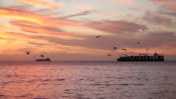 Navios ao entardecer, Chile — Vídeo de Stock