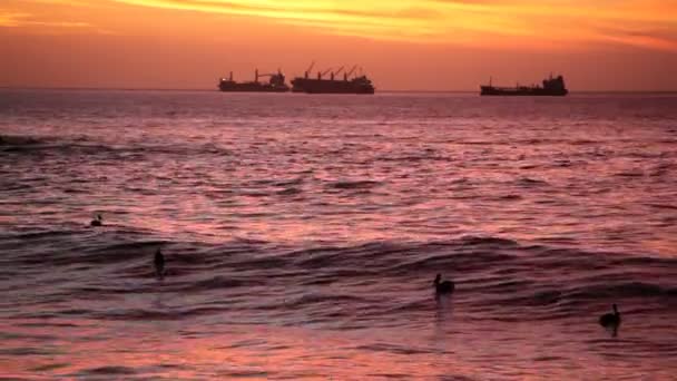 Navios ao entardecer, Chile — Vídeo de Stock