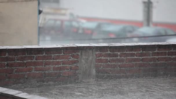 Torrential Rain, Mexico City — Stock Video