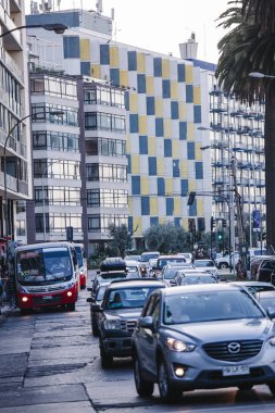 Avenida Marina, Vina del Mar