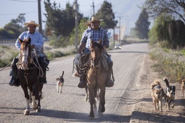 Huasolar onun atları üzerinde. Şili