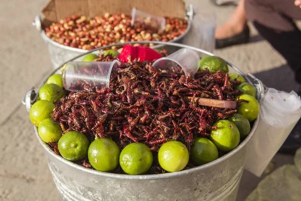 Fried çekirge Satılık, Meksika için