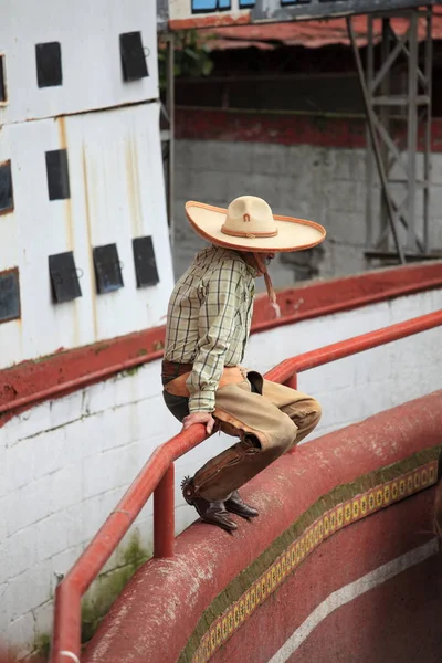 Mexican Charro, Ciudad de México —  Fotos de Stock